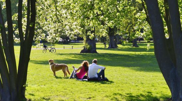 luni nastere personalitate empatie martie mai iulie august septembrie