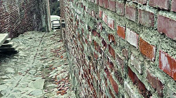 Poenari, în topul scandalurilor de renovare, după Râșnov și Curtea Domnească. Cetatea lui Vlad Țepeș, distrusă de Dorel și cucerită de urși