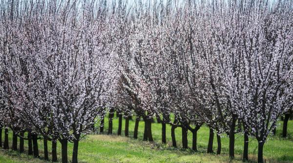 Fenomen spectaculos în Grecia: Locul unde ți se taie respirația