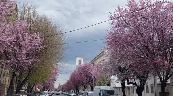 Orașul din România unde mergi toată ziua cu doar 1 leu!