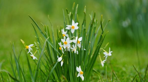 Ce revelație te așteaptă în aprilie: Mercur în Taur aduce claritate și decizii decisive