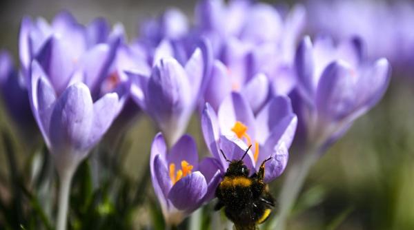 Mesajul pe care zodia ta îl așteaptă exact azi: Schimbă-ți perspectiva și eliberează-te!