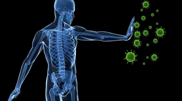 Realitate ori science-fiction? Roboții ADN s-ar putea plimba prin organism pentru a administra medicamente și a elimina virușii