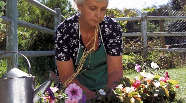 Ce flori se plantează în aprilie: transformă-ți grădina și balconul într-un paradis colorat