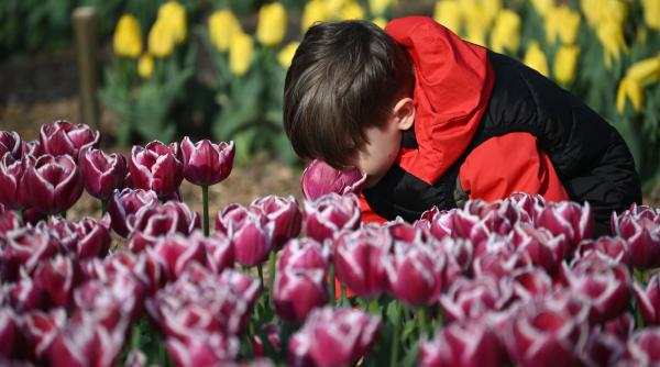 Horoscop 5 aprilie 2026: 4 zodii norocoase primesc semne puternice de la univers