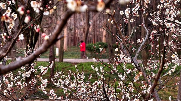 Mesajul ascuns al lunii aprilie: cum îți influențează destinul data nașterii