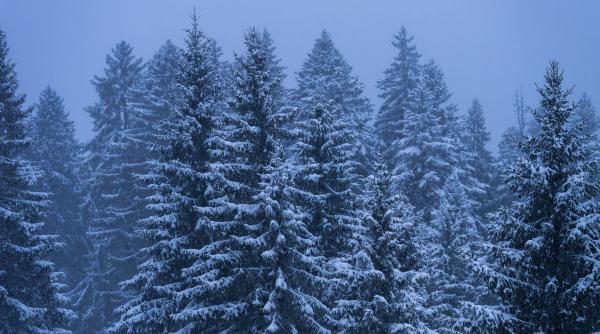 avertizare meteo imediata vreme severa ninsoare 8 aprilie