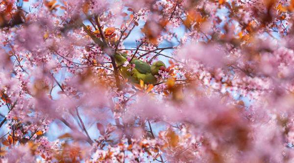 mercur post retrograd aprilie horoscop zodii ce trebuie sa spui
