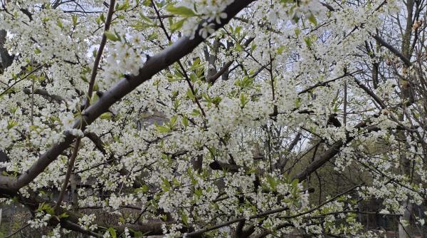 Ziua în care totul devine clar: 3 luni de naștere vizate de energia numărului 11