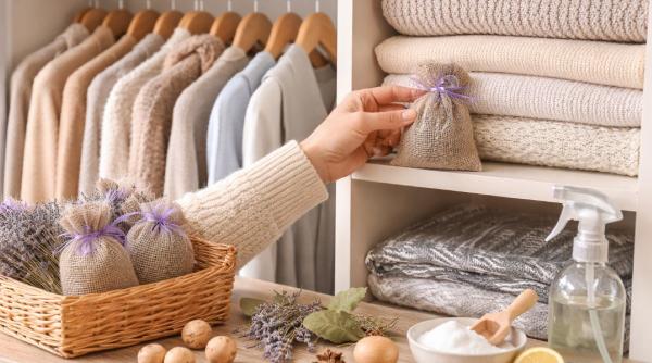 Scapă de molii rapid: Metode eficiente pentru a elimina larvele din dulap