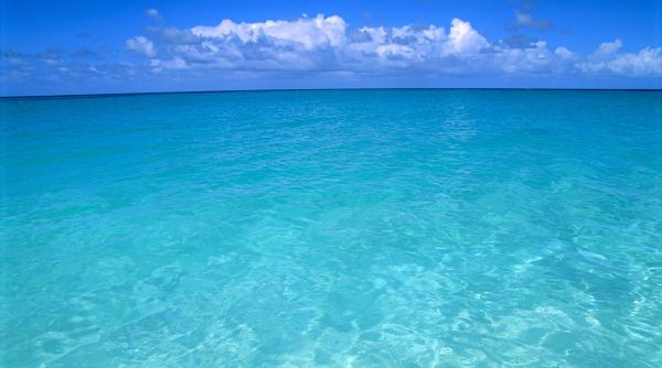 Oceanele au atins în martie temperatura unui record absolut