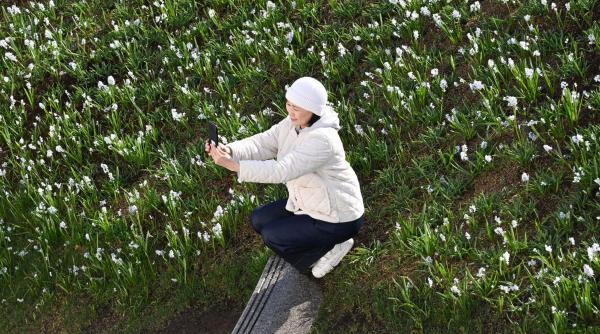 Horoscop chinezesc 14 aprilie 2026: 6 Zodii norocoase cu succes financiar și câștiguri