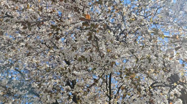 4 zodii primesc un CADOU cosmic UIMITOR pe 14 aprilie 2026: Mercur se aliniază cu Uranus și schimbă TOTUL!