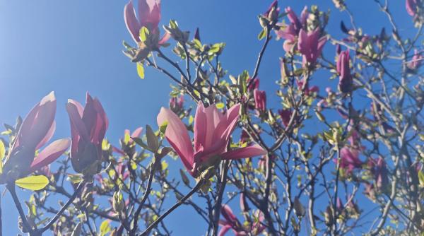 Saturn și Pluto rescriu destinele: ce se schimbă pentru fiecare zodie în 2026