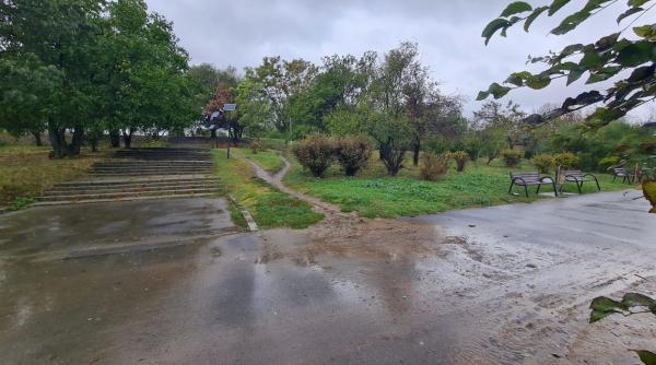 Bucureștiul va avea o grădină de ploaie: proiect inovator în Parcul Tineretului