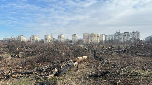 De la fereastra ta vezi trei copaci? Regula orașului verde