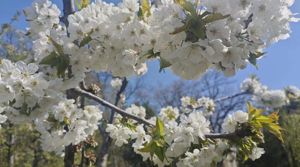 Ce se întâmplă cu zodiile la mijloc de aprilie: semnul subtil că nimic nu mai e la fel