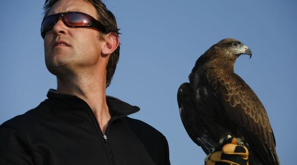 Ce pasăre îți oglindește sufletul, în funcție de luna nașterii