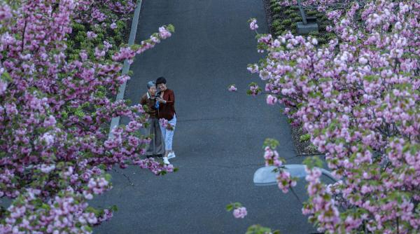 Horoscop 19 aprilie 2026: ziua marilor oportunități. Ce îți pregătesc astrele