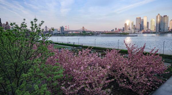 Patru zodii binecuvântate pe 19 aprilie 2026: ziua în care destinul le schimbă radical viața