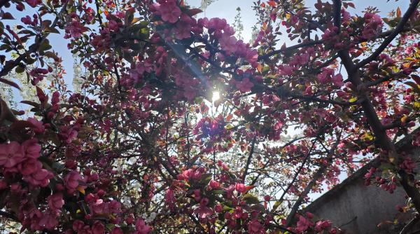 Horoscop mai 2026: zodiile care dau lovitura și cele care trebuie să fie prudente