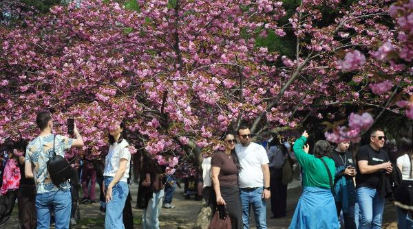 Horoscop 19 aprilie 2026: 5 zodii lovite de noroc! Marte și Saturn schimbă destine