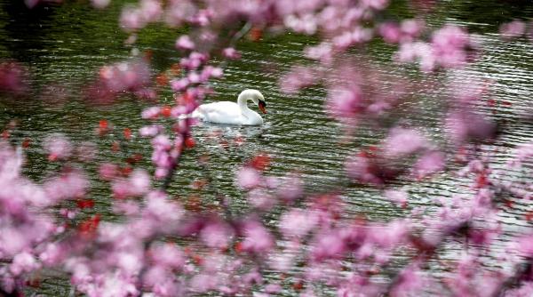 Sezonul Taurului 2026 schimbă regulile jocului: cine câștigă și cine trebuie să o ia de la capăt