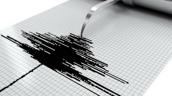 Cutremur de 7,4 grade în largul Japoniei. Avertizare de tsunami