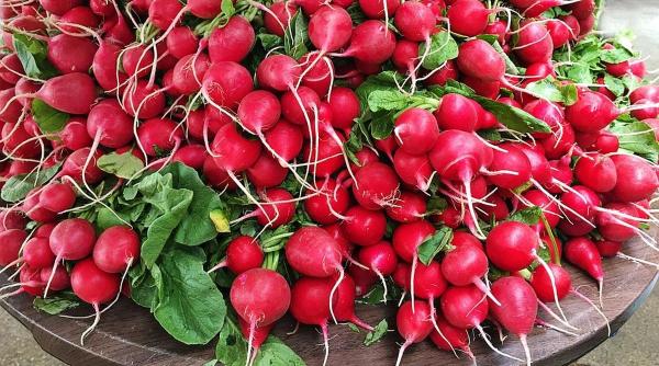 Rețete de primăvară. Cum să prepari ridichii umplute cu cremă de ouă și brânză