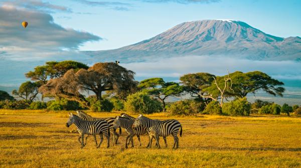 Strategia celor mai mari agenții de turism: parteneriate și listarea la bursă