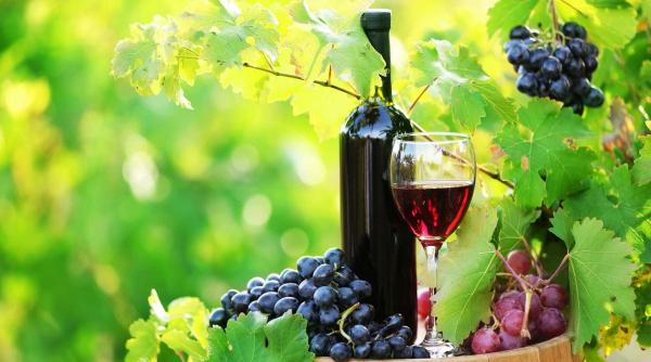 De unde s-a tras în limba română cuvântul zaibăr