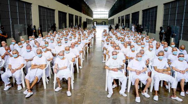 proces masa 500 inculpati zeci mii infractiuni