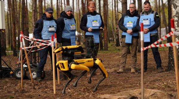 Pe urmele Dianei, 30 de ani mai târziu: Prințul Harry, misiune istorică de deminare în orașul martir Bucea