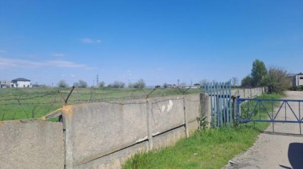 proprietara curte drona galati