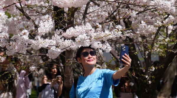 Lunile de naștere care își pun singure piedici în această săptămână. Află dacă ești pe listă