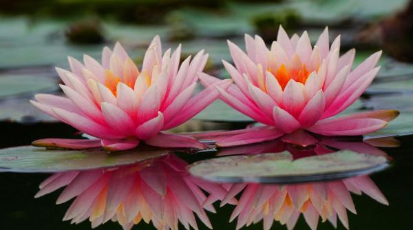 Astrologii spun: aceste 4 luni de naștere trebuie să-și recunoască valoarea