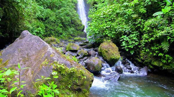 „În sezonul uscat avem clienți. În sezonul ploios avem conversații”