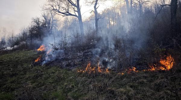 incendiu vegetatie ilova caras severin interventie pompieri elicopter