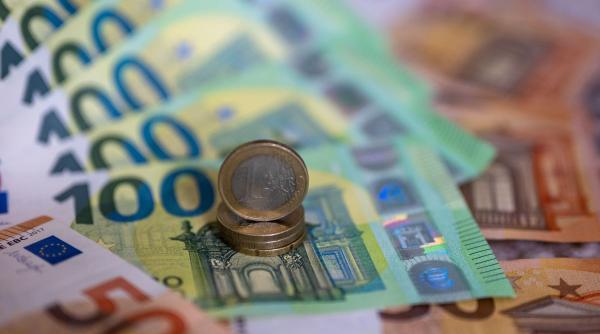 curs bnr euro lei criza politica fluctuatii