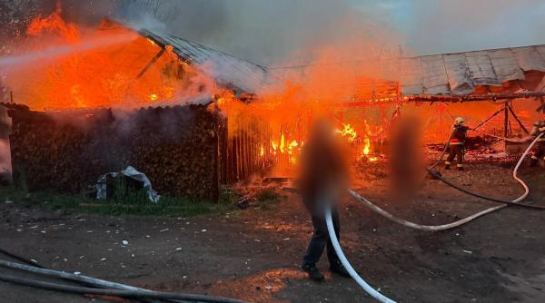 incendiu violent ard doua adaposturi de animale din fratautii vechi