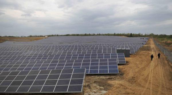 Goodbye, corn! Farms go bankrupt, photovoltaic panels spring up in the fields. Ilie Bolojan legislated the concession of land, to be "cultivated" with panels
