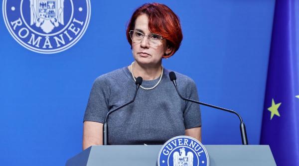 Ioana Dogioiu îl apără pe Șeful Vămii, Mihai Savin, pus sub control judiciar: A avut un mandat cu rezultate remarcabile