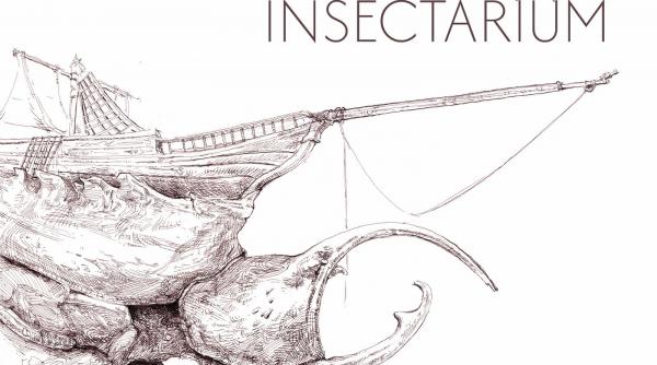 expozitia insectarium un nou eveniment la muzeul national de arta timisoara