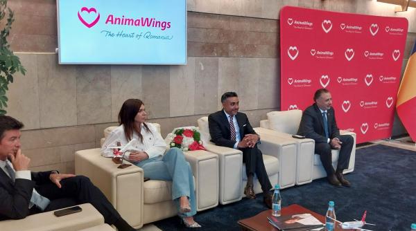 animawings sfideaza criza kerosenului bilete la fel de ieftine ca pana acum flota extinsa si peste 50 de rute in vara acestui an
