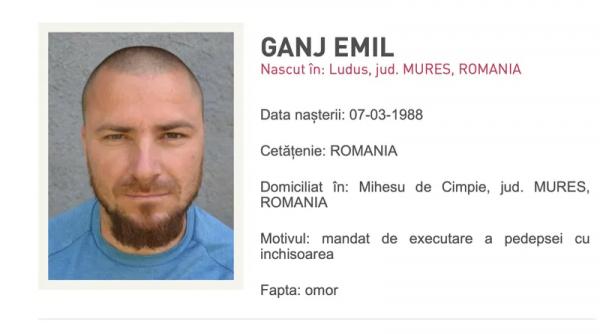 emil ginj condamnare viata