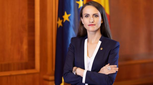 oana toiu israel flotila gaza