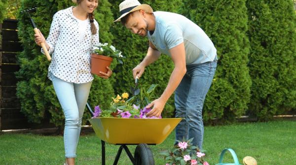 Cum a apărut ROA Garden și de ce tot mai mulți români redescoperă grădinăritul