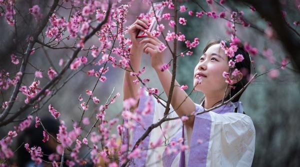 horoscop chinezesc iunie 2026 zodii noroc prosperitate