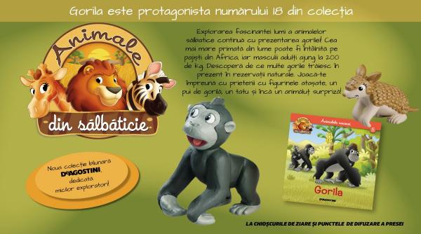 Descoperiți impresionanta gorilă! Numărul 18 din „Animale di