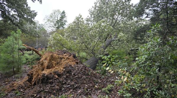 avertizare meteo imediata de vant puternic iata lista localitatilor afectate